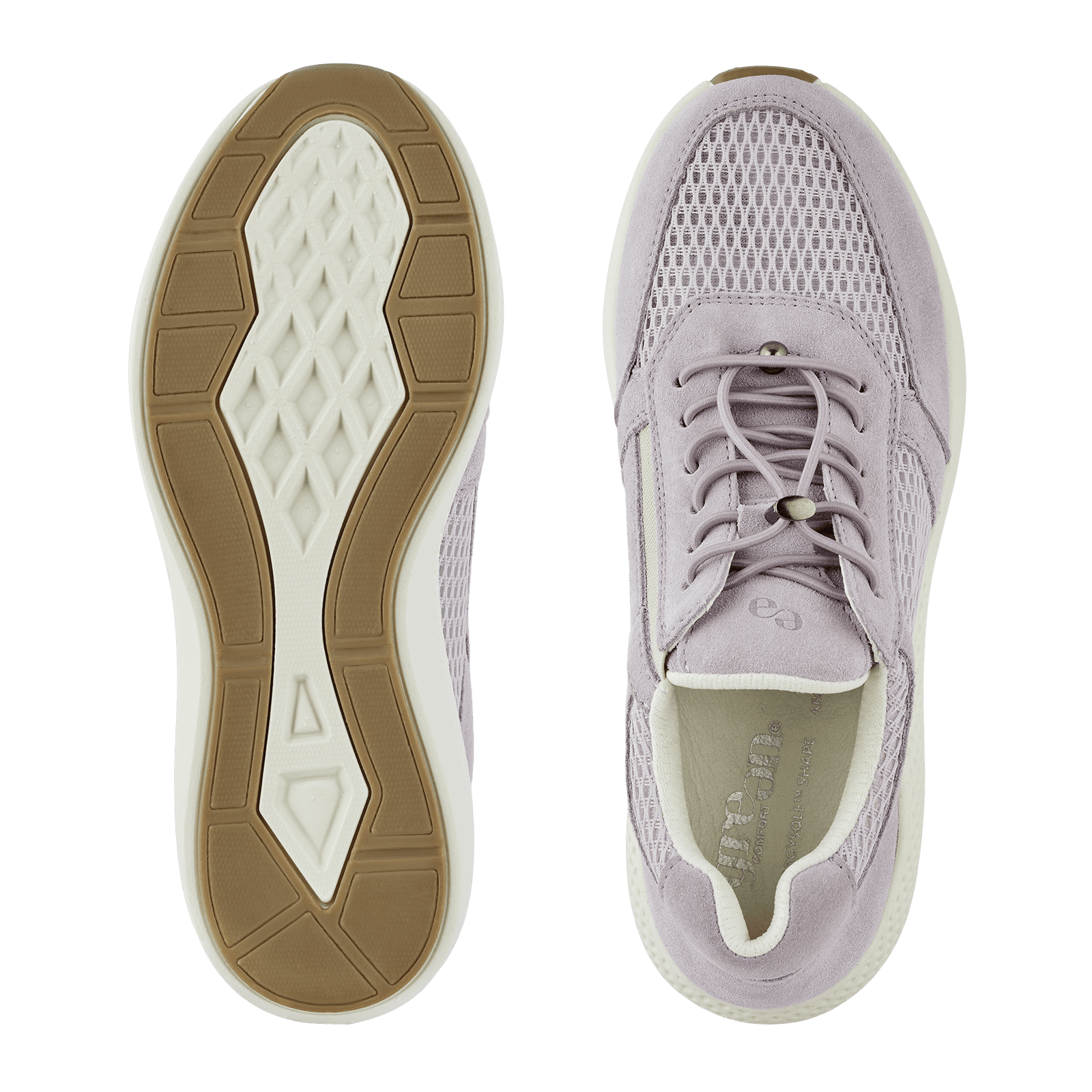 DOLPHIN DICTE - LAVENDER